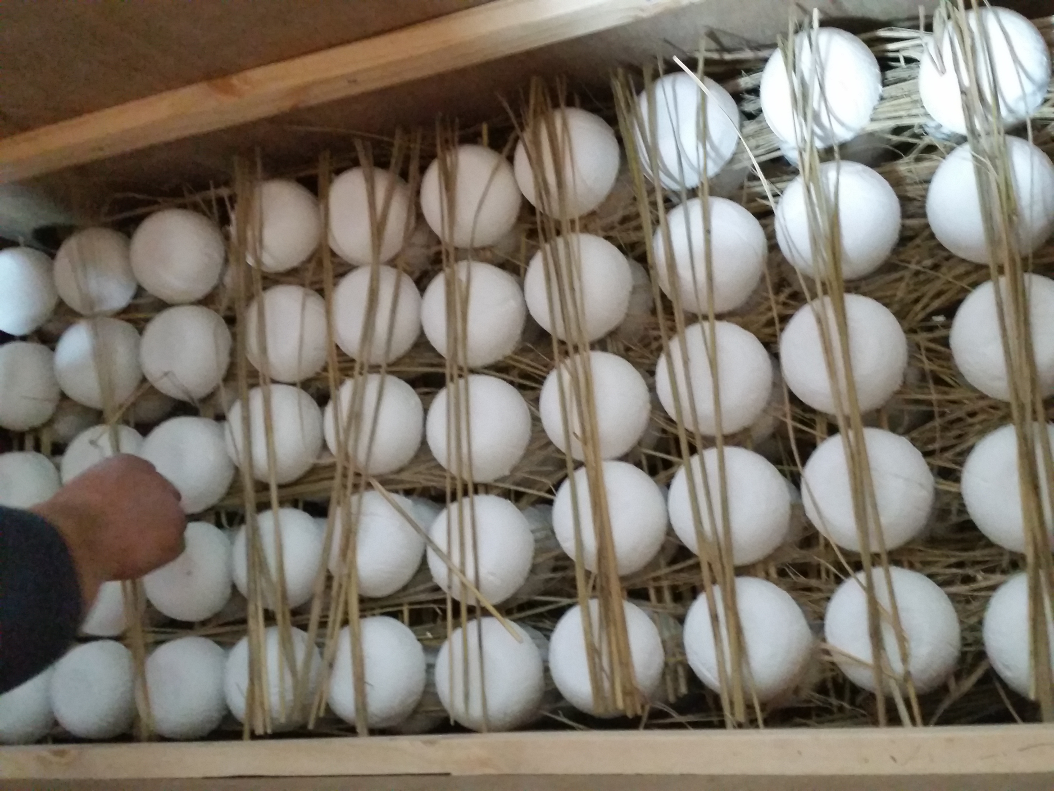 논산 딸기 고추장280g*2병