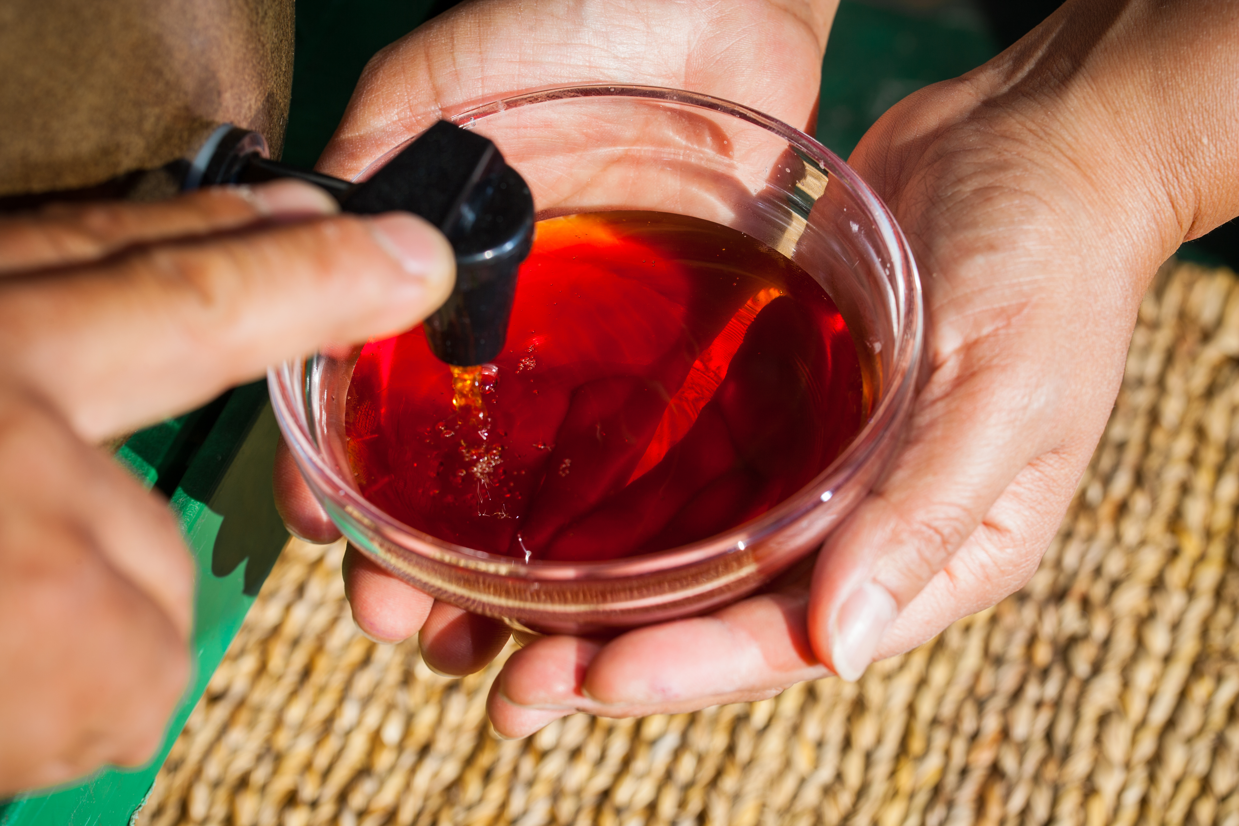 봄초여 어간장375ml 1병